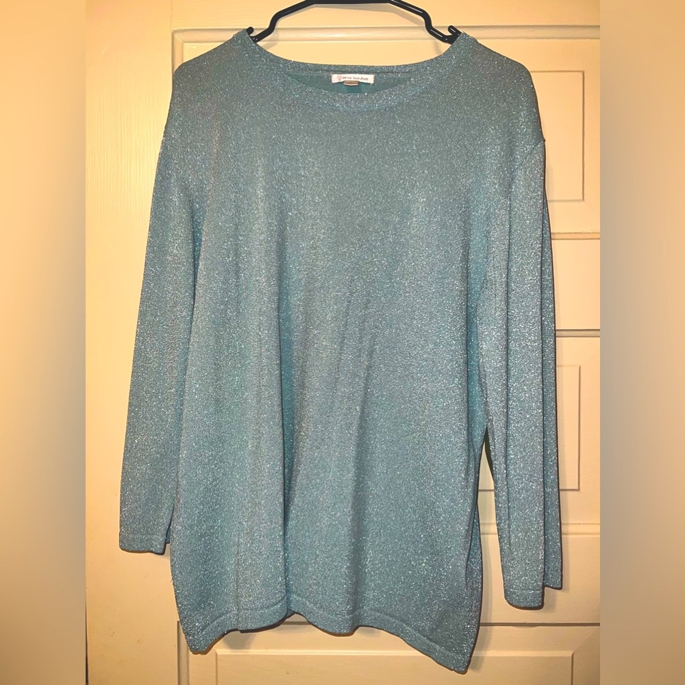 Erin London sparkling blue long sleeve top